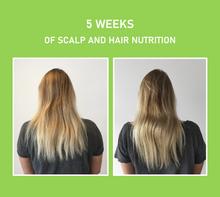 Load image into Gallery viewer, Scalp and Hair Nutrition - Refill Bundle
